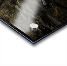 Autumn Cascade Acrylic print