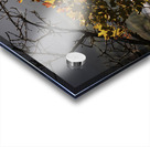 Alpine Radiance Acrylic print