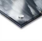 Natures Duality Acrylic print