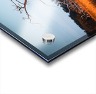 Silent Solitude Acrylic print