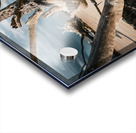 Sunlit Resilience Acrylic print