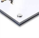 Sky High Banquet Acrylic print