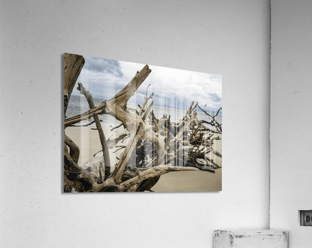 Snail Sanctuary Acrylic Print