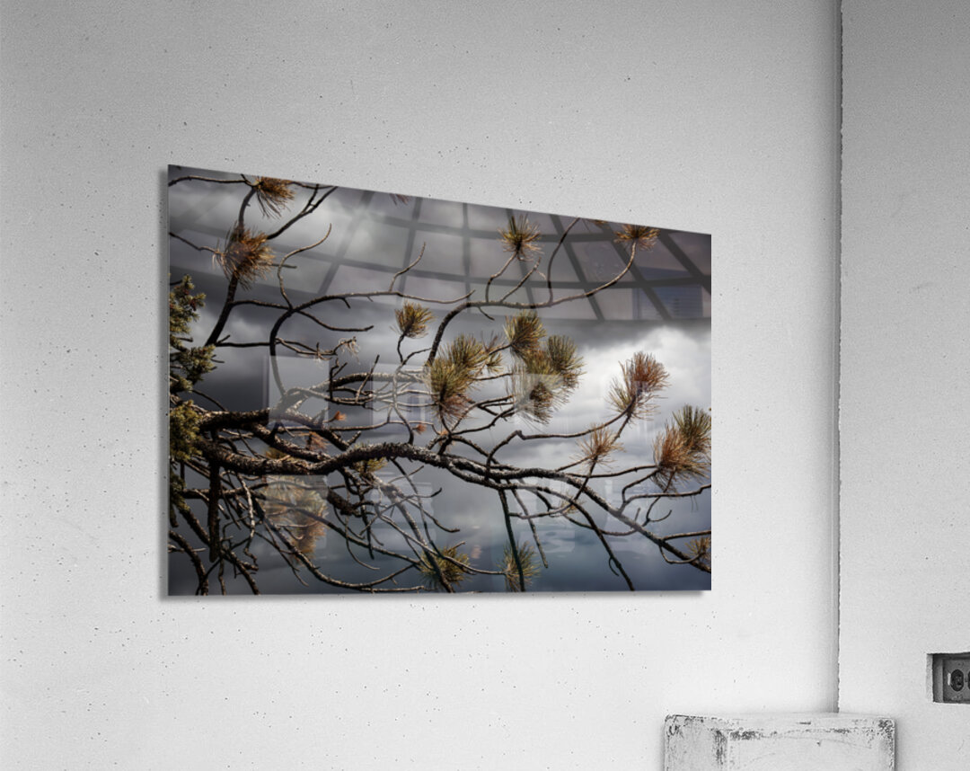 Crimson Storm Acrylic Print