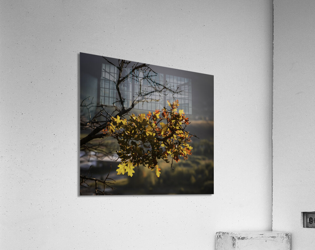 Alpine Radiance Acrylic Print