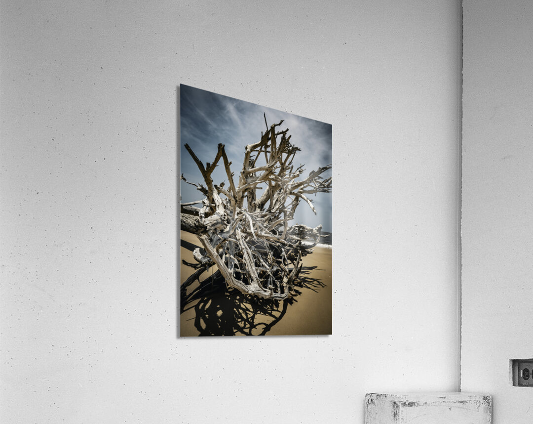 Tangled Drift Acrylic Print