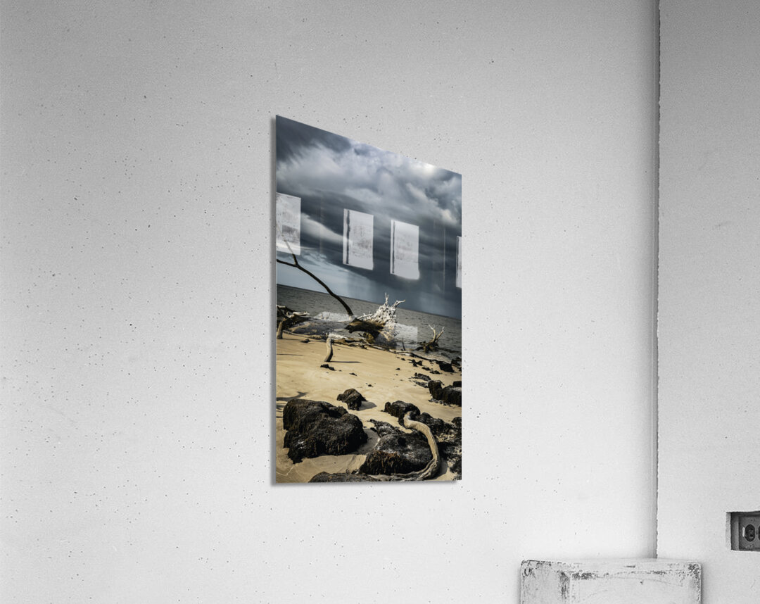 Natures Duality Acrylic Print