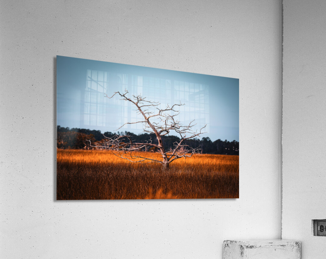 Silent Solitude Acrylic Print