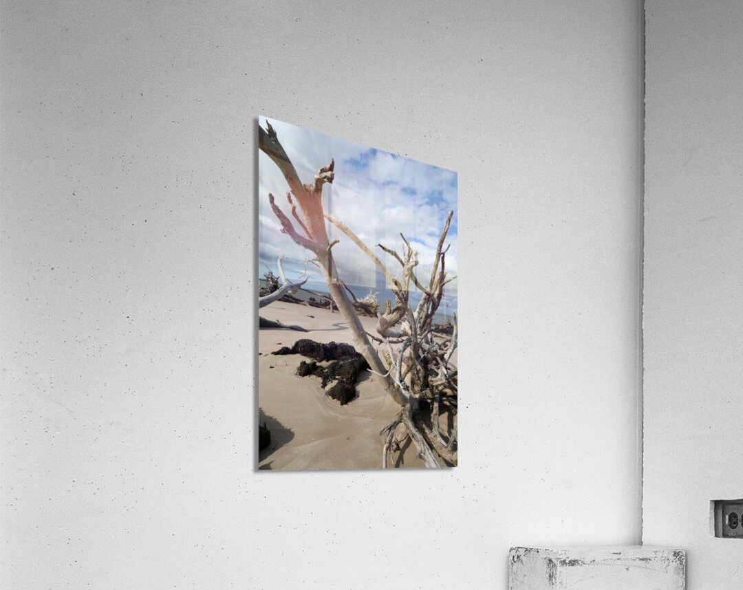 Eternal Embrace Acrylic Print