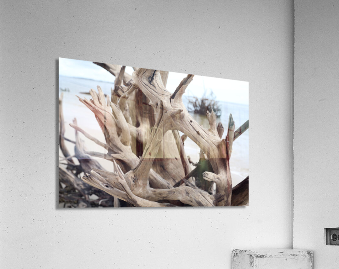 Sturdy Elegance Acrylic Print