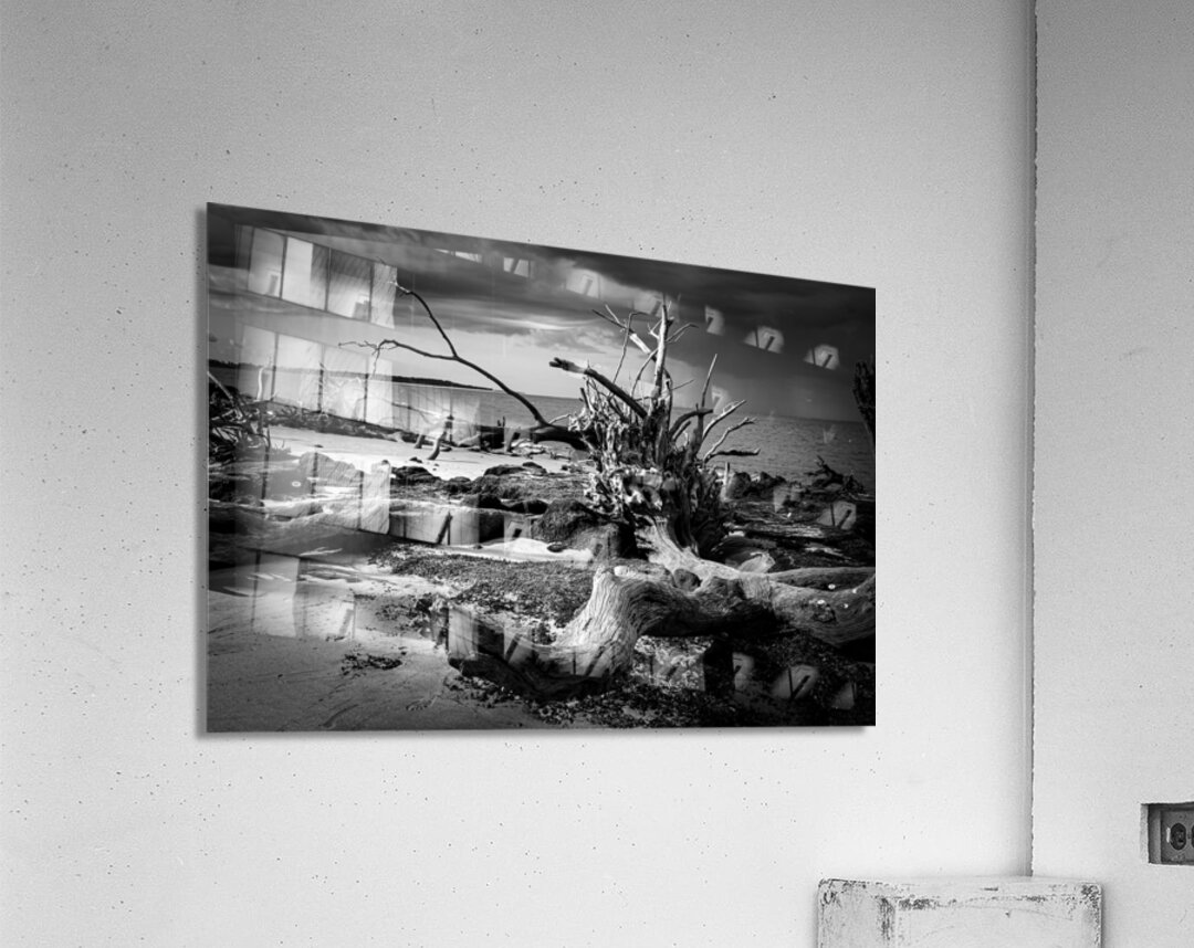 Tempest Trace Acrylic Print