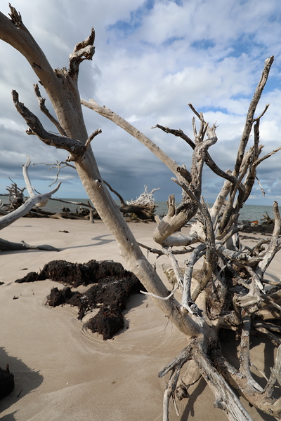 Eternal Embrace by Anetta Nadolna