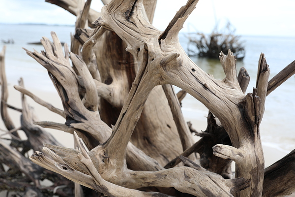 Sturdy Elegance by Anetta Nadolna