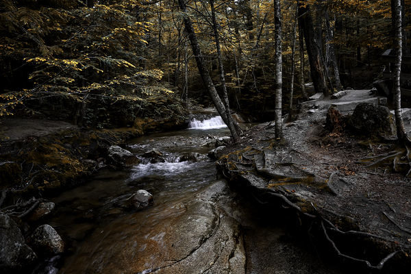 Autumn Cascade by Anetta Nadolna