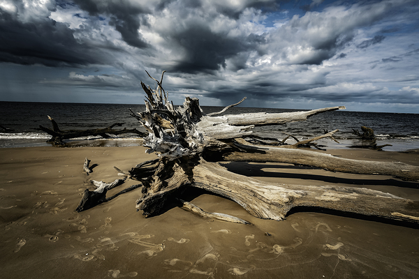 Legacy of The Tides by Anetta Nadolna