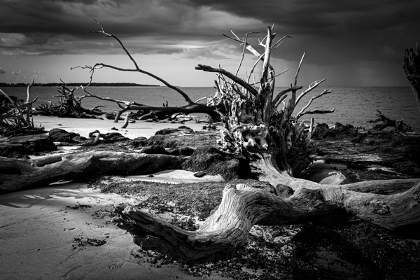 Tempest Trace by Anetta Nadolna