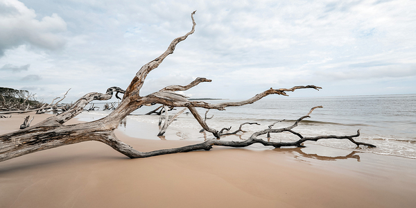 Whispers of Serenity by Anetta Nadolna