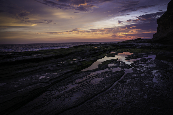 Harmonious Dusk by Anetta Nadolna