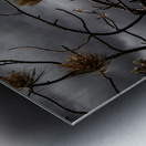 Crimson Storm Metal print