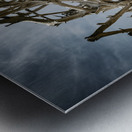 Tangled Drift Metal print