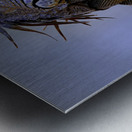 Dragon’s gaze Metal print