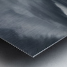 Natures Duality Metal print