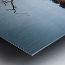 Silent Solitude Metal print