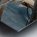 Sunlit Resilience Metal print