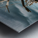 Storms Peaceful Prelude Metal print