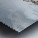 Whispers of Serenity Metal print