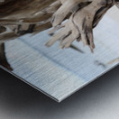 Sturdy Elegance Metal print