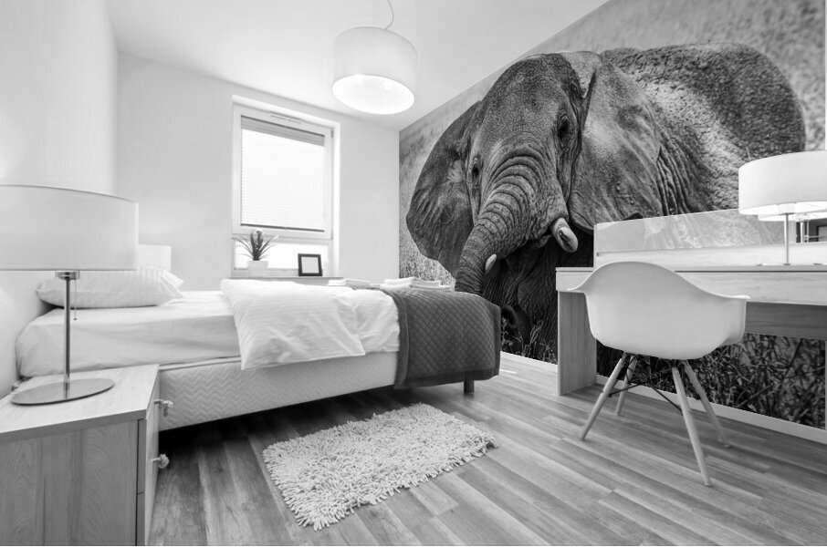 Monochrome Majesty Mural print