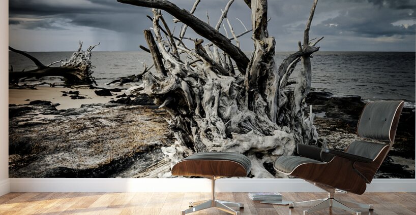 Driftwood Symphony Wall Murals