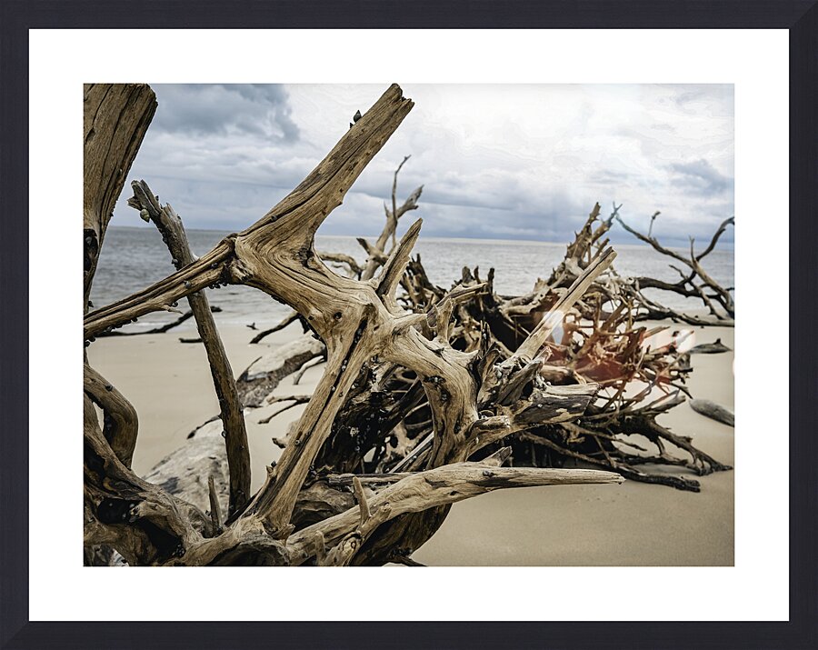 Snail Sanctuary Picture Frame Printing