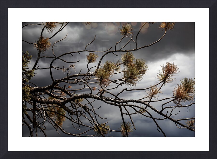 Crimson Storm Picture Frame Printing