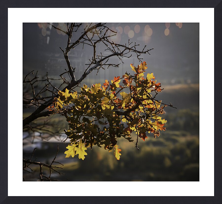 Alpine Radiance Picture Frame print