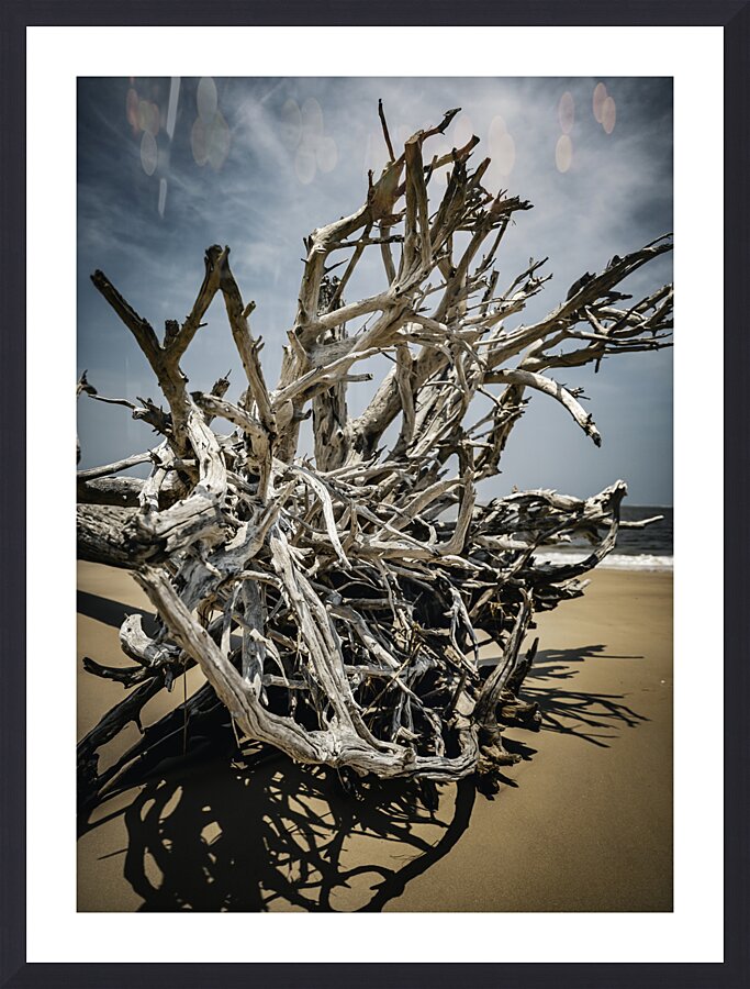 Tangled Drift Picture Frame Printing