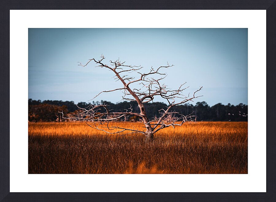 Silent Solitude Picture Frame Printing