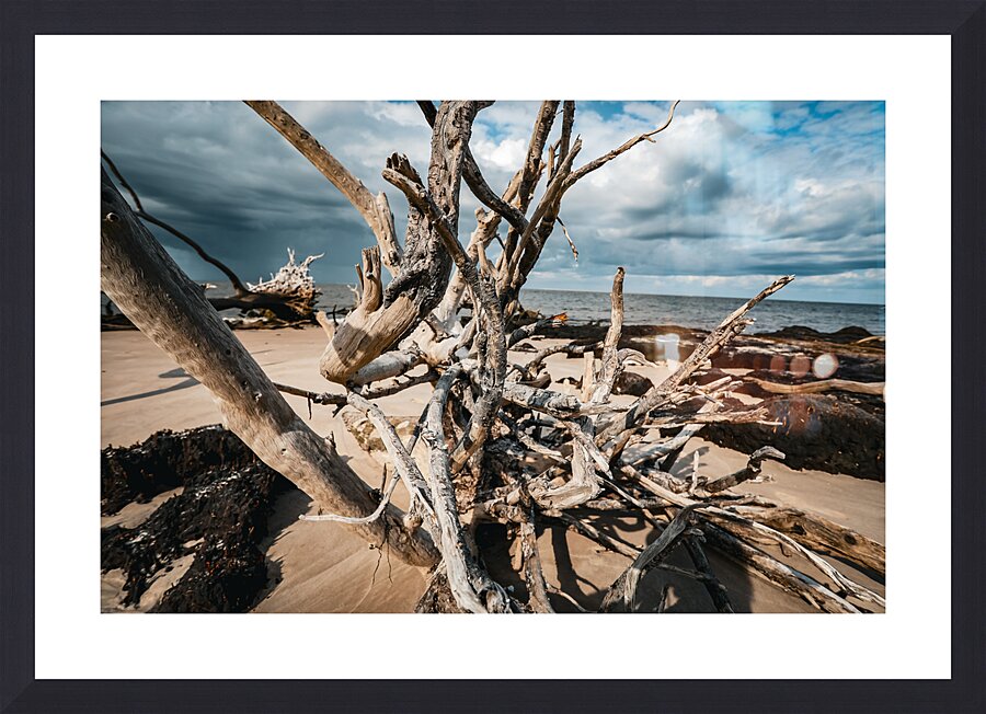Sunlit Resilience Picture Frame Printing