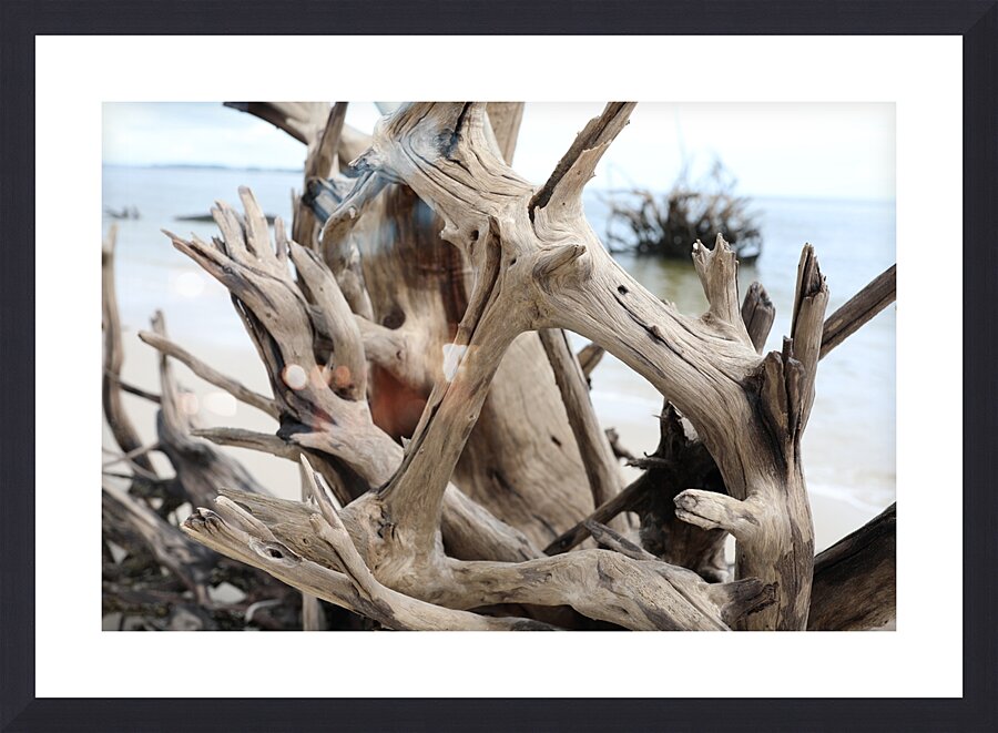 Sturdy Elegance Picture Frame Printing