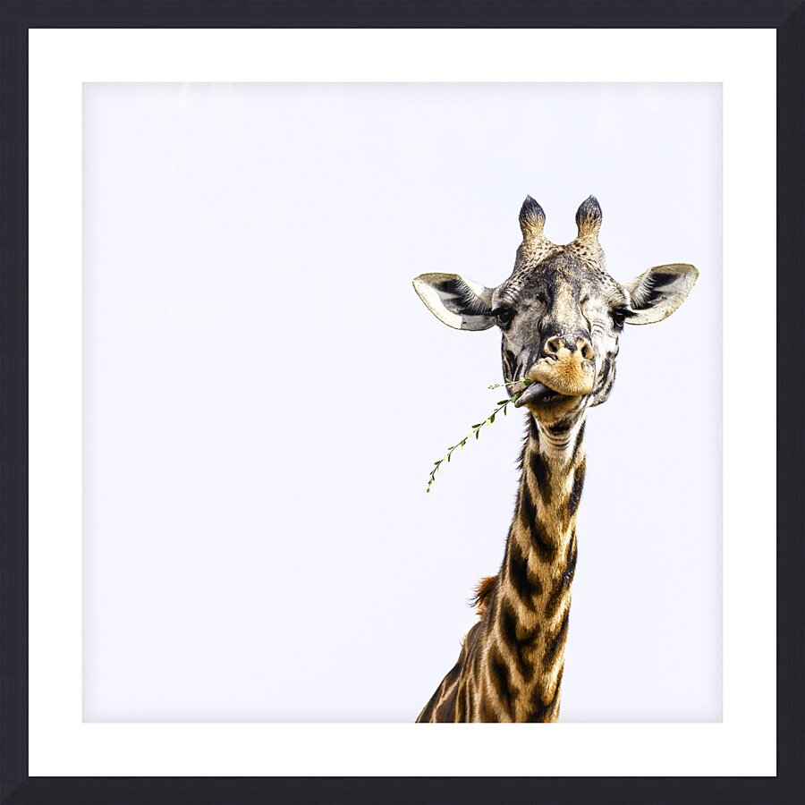 Sky High Banquet Picture Frame Printing