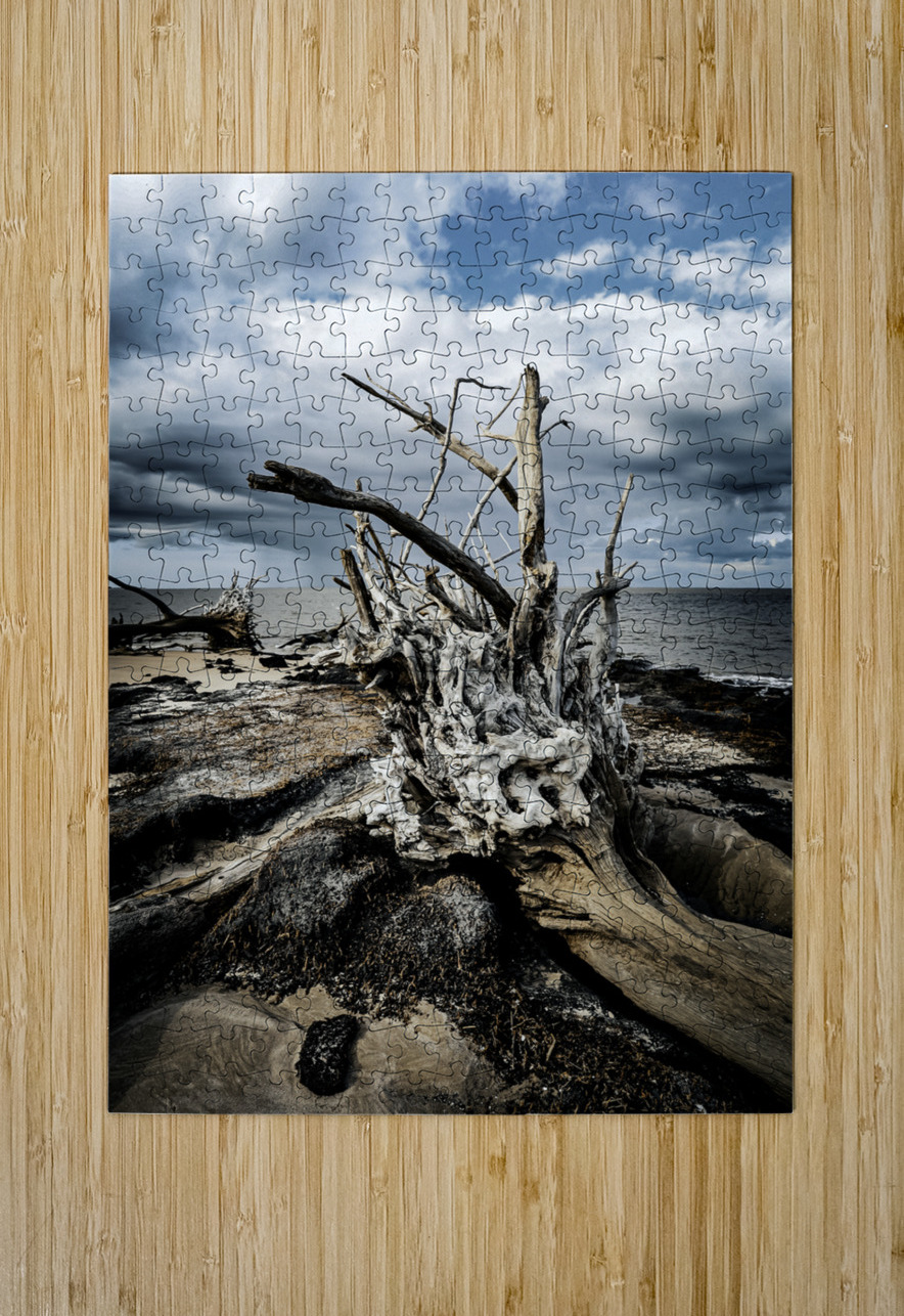 Driftwood Symphony Anetta Nadolna Puzzle printing