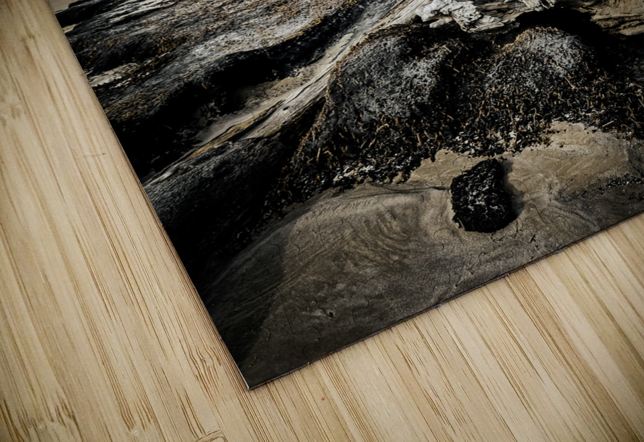 Driftwood Symphony Anetta Nadolna Puzzle