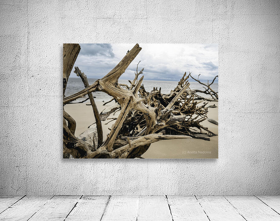 Snail Sanctuary Wall Preview