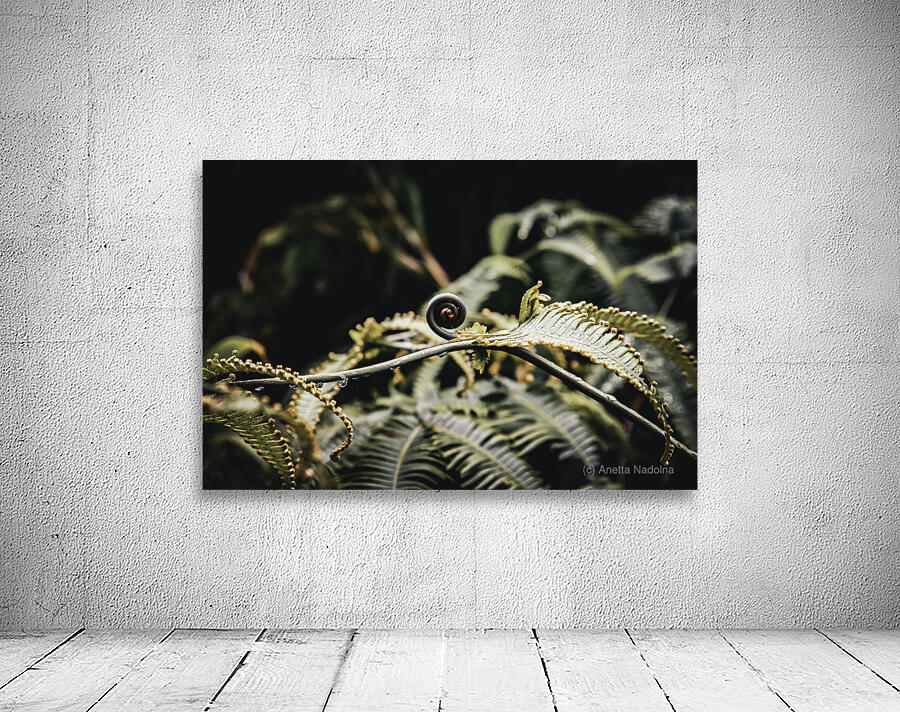 Awakening Fern Wall Preview