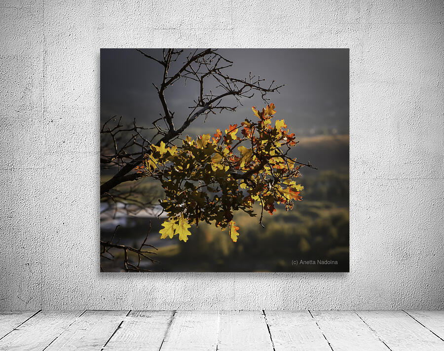 Alpine Radiance Wall Preview