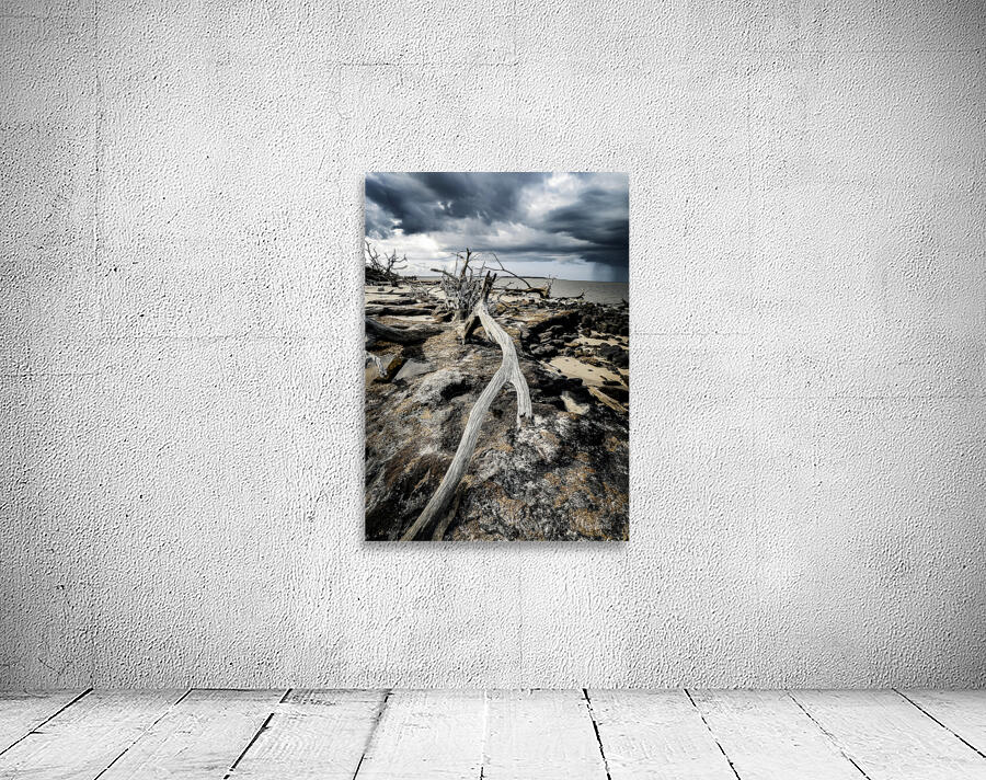 Nature s Drama Wall Preview