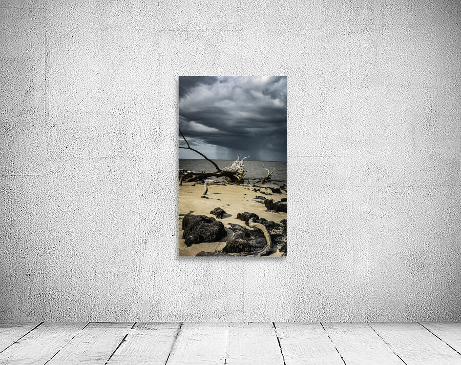 Natures Duality Wall Preview