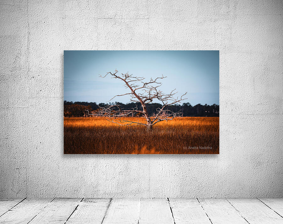 Silent Solitude Wall Preview