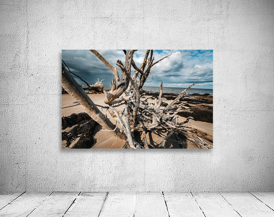 Sunlit Resilience Wall Preview